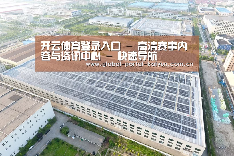 案例展示二
