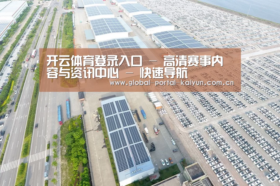 案例展示一