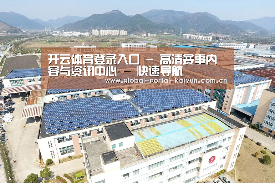 案例展示三