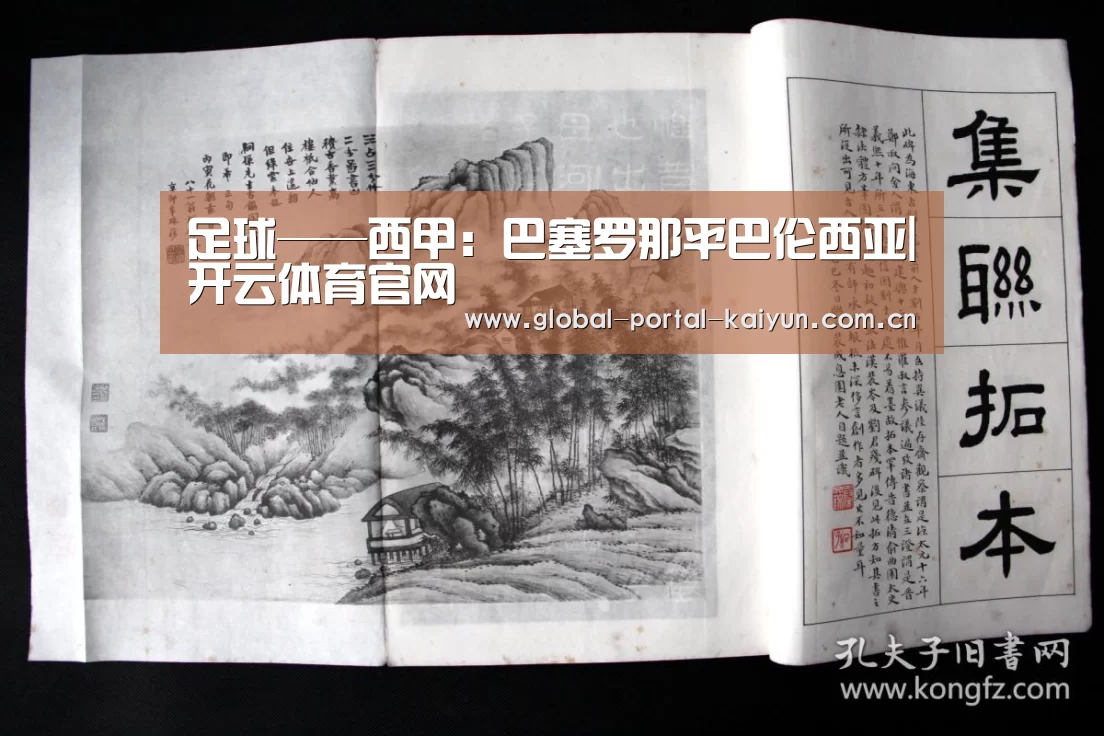 开云体育官网