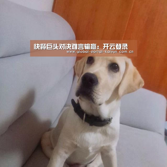 开云登录