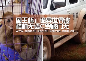 开云体育官方