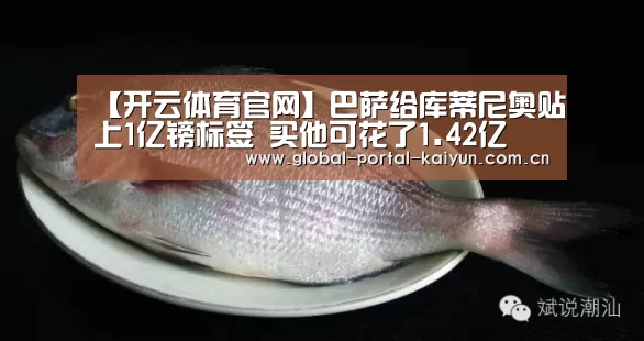 开云登录