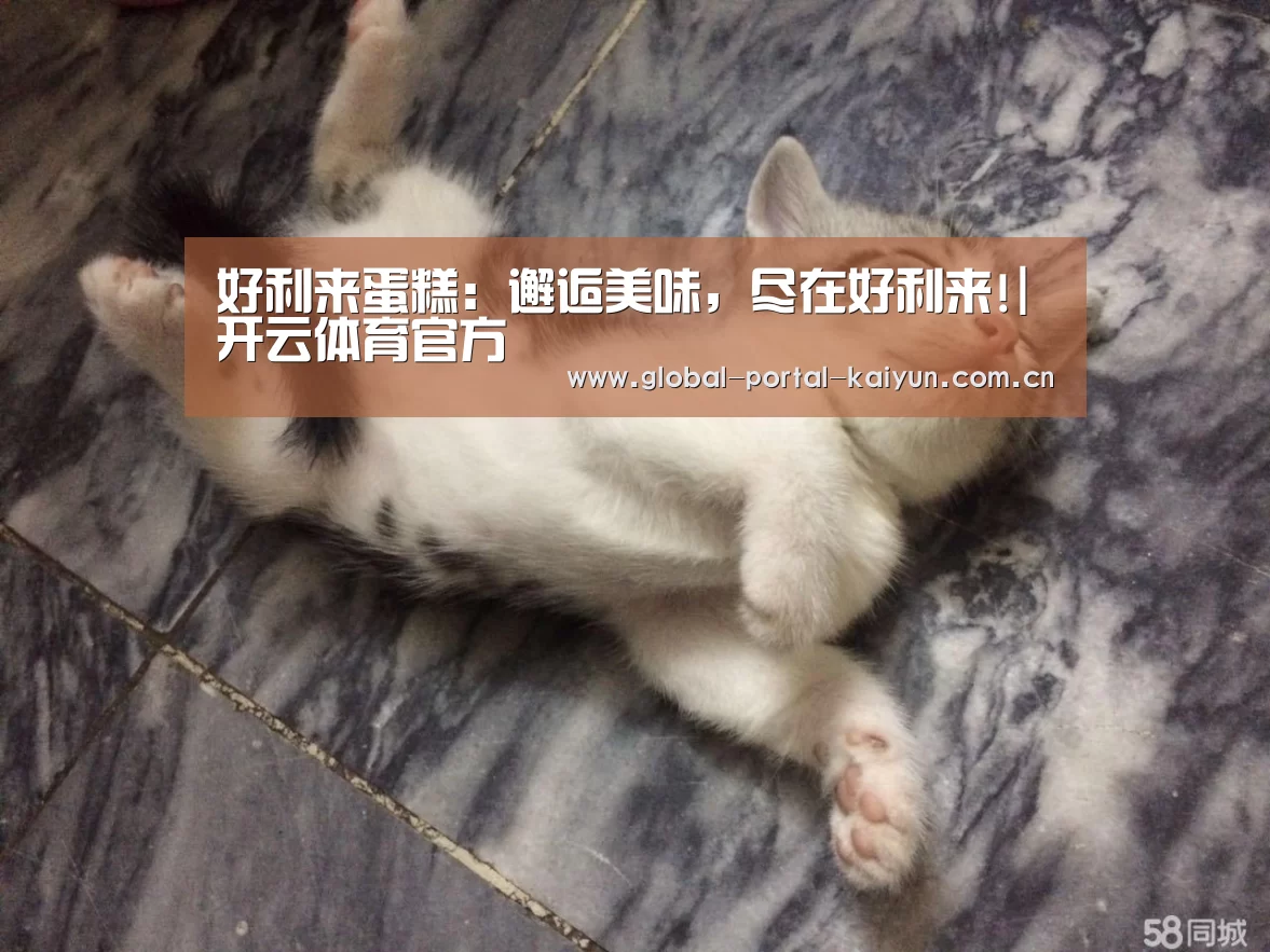 好利来蛋糕:邂逅美味,尽在好利来!|开云体育官方(图2) 开云登录