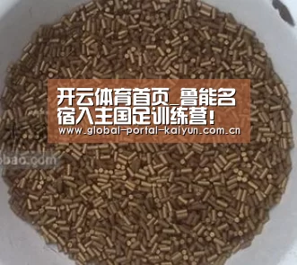 开云体育首页_鲁能名宿入主国足训练营!球迷期待他落叶归根和李霄鹏一起战斗(图1) 开云体育首页