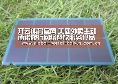 开云体育官网